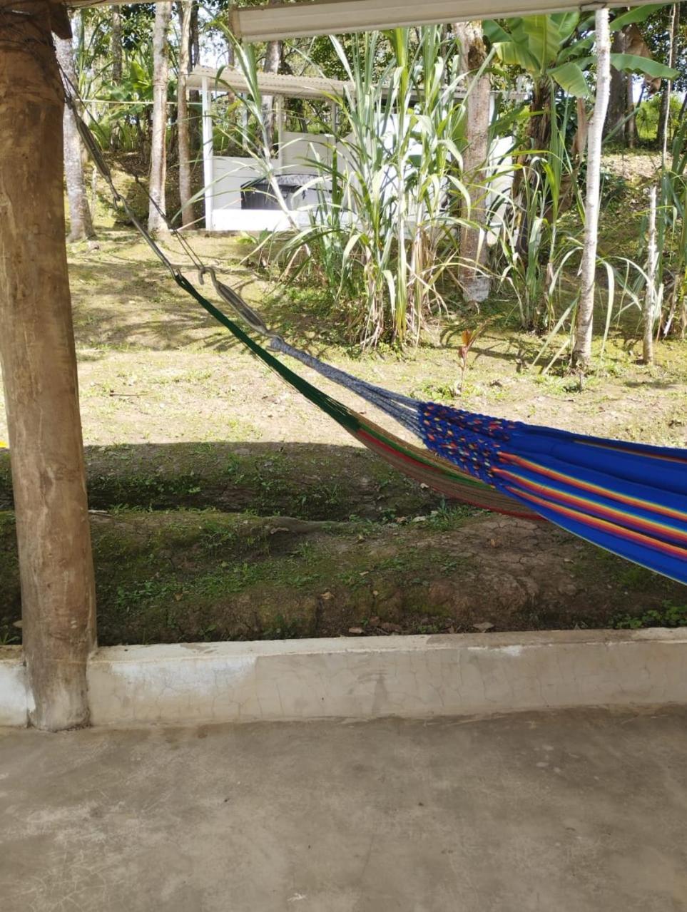 Glamping Eco Azulejo * Arbelaez
