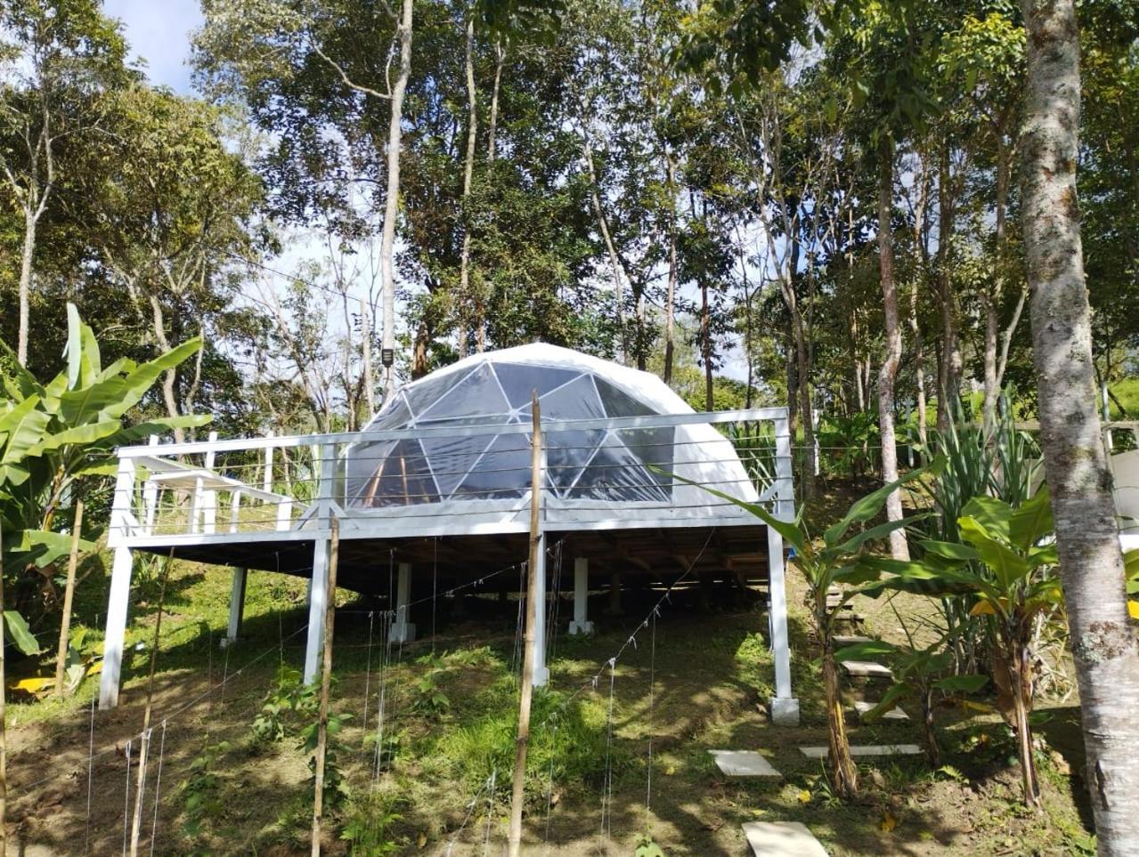Glamping Eco Azulejo Arbelaez